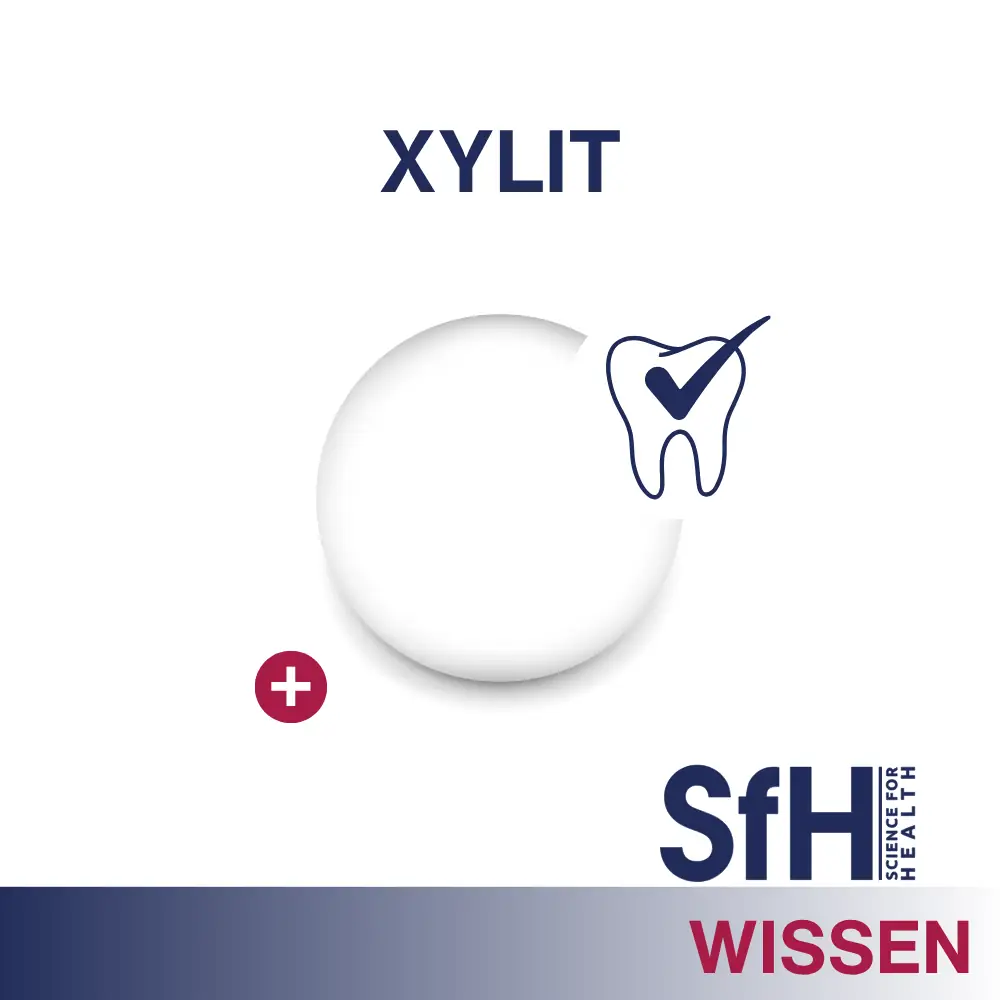 Titelbild Wissensbeitrag Thema Xylit