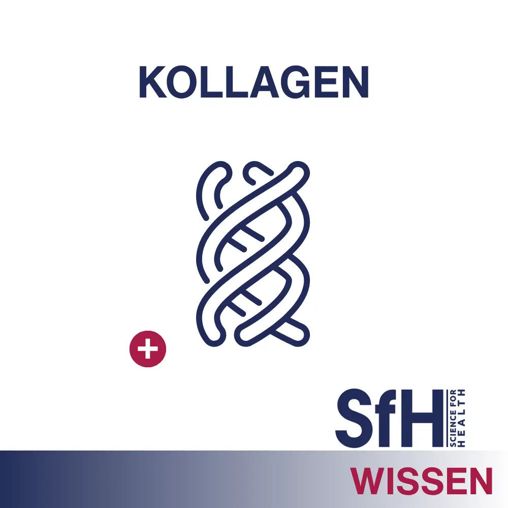 Titelbild Wissensbeitrag Thema Kollagen